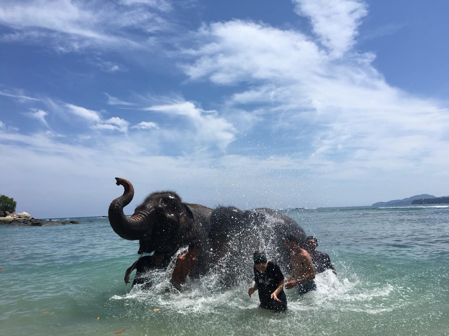 Phuket Elephant Bathing