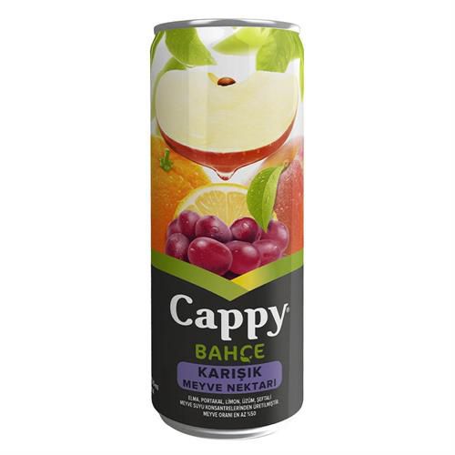 Cappy Meyve Suyu 250ml Karışık