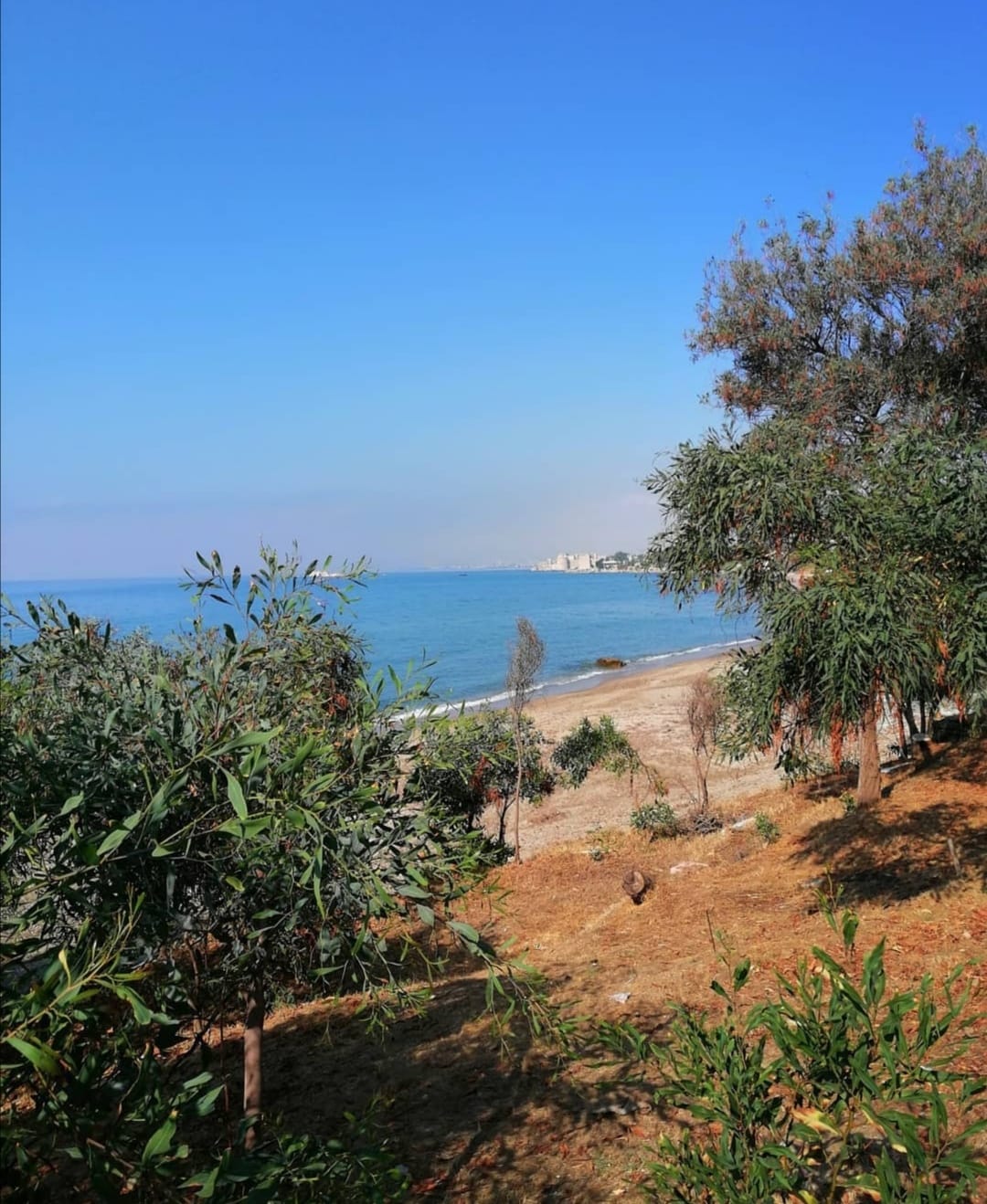 Pullu Tabiat Parkı
