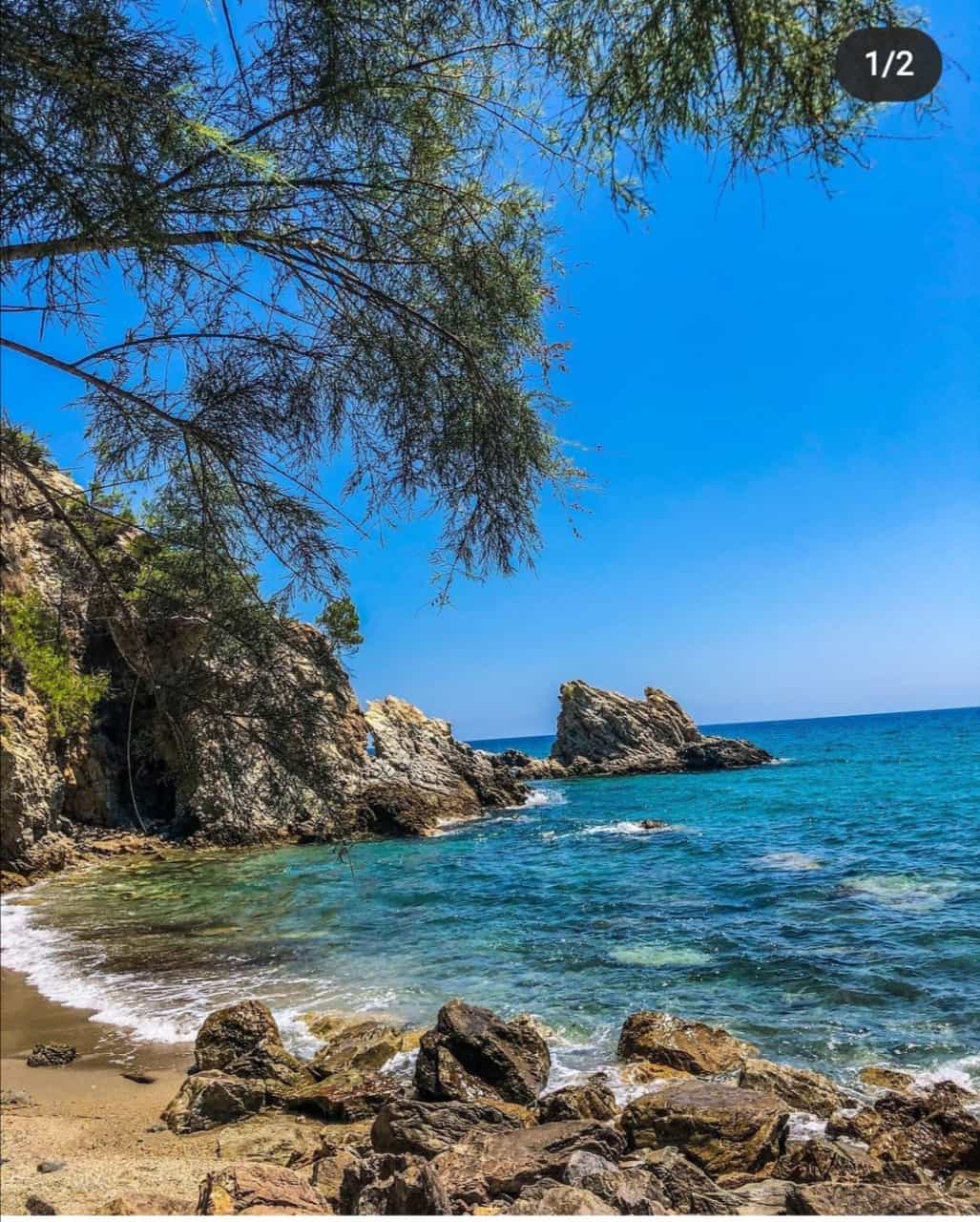 Pullu Tabiat Parkı