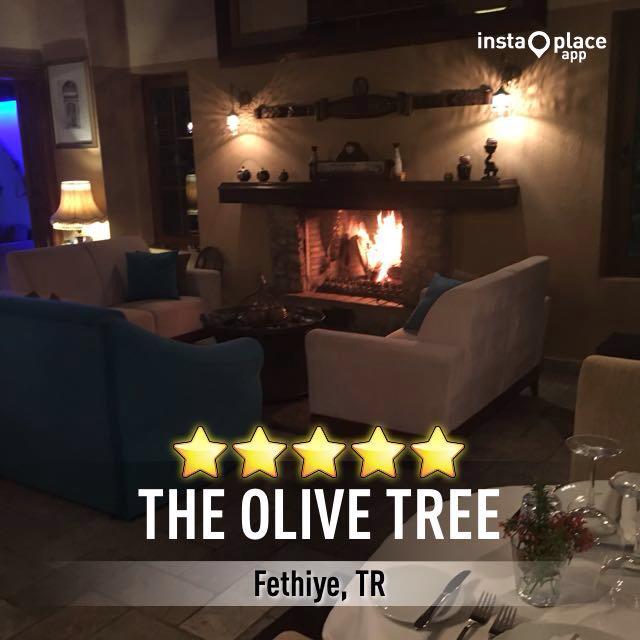 The Olive Tree