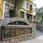 The Olive Tree