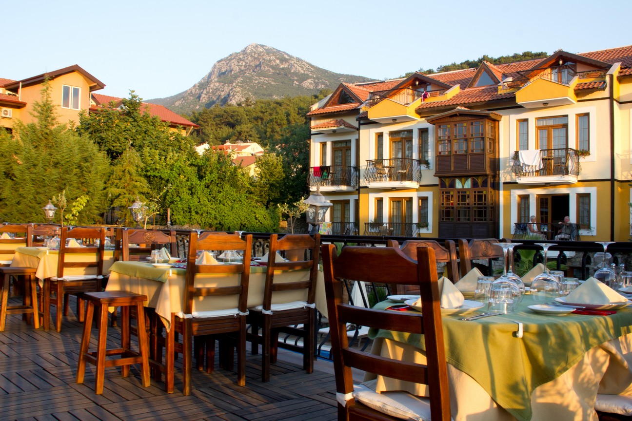 The Olive Tree
