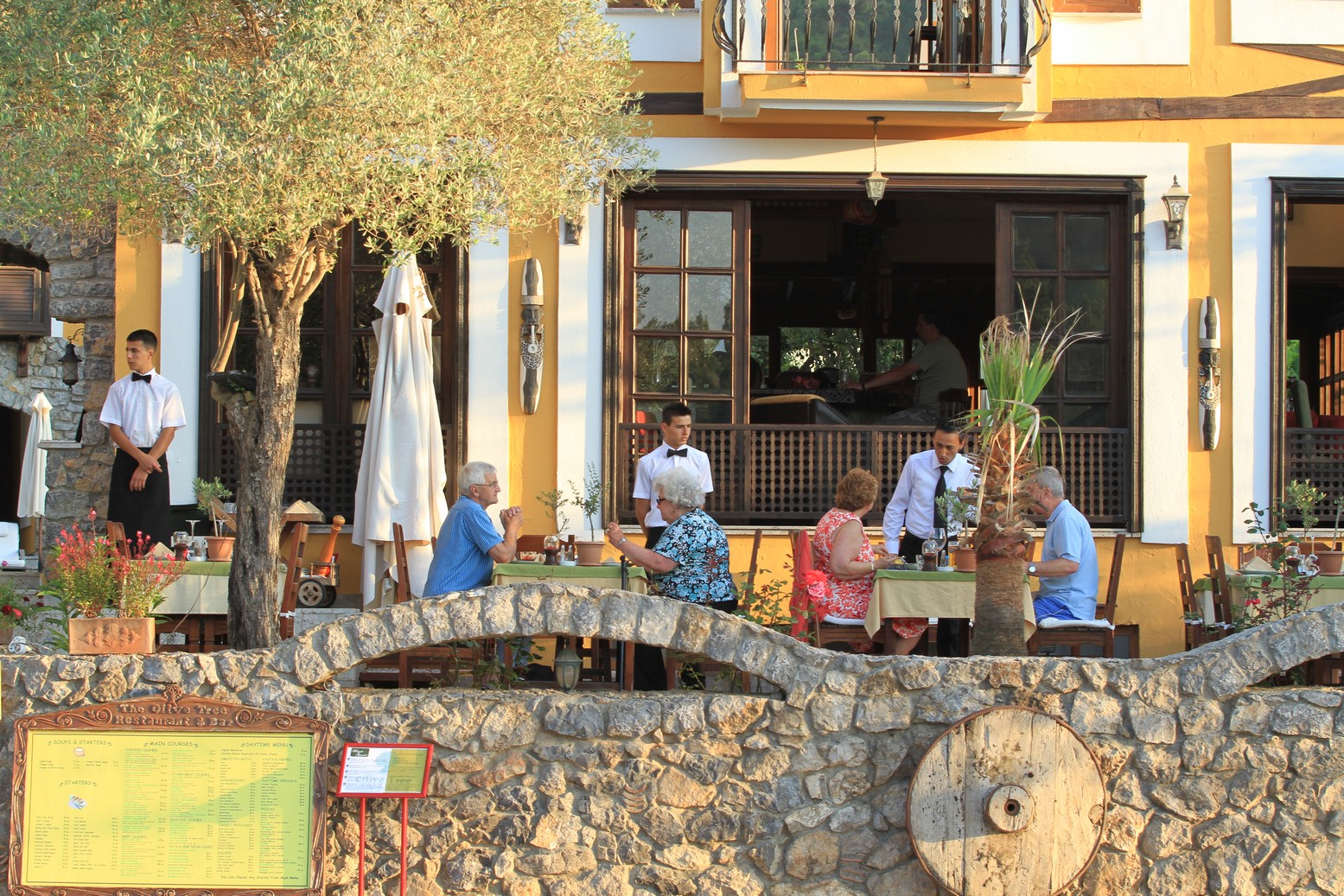 The Olive Tree