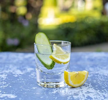 Import Gin  
