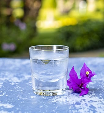 Absolut Vodka 100 Cl