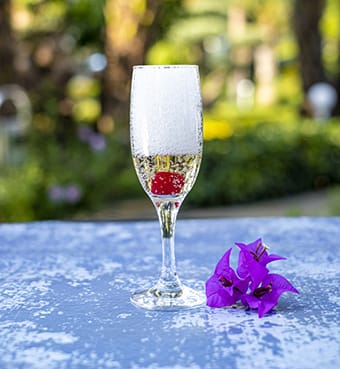 Sparkling Wine