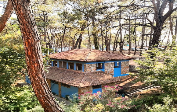 Pullu Tabiat Parkı