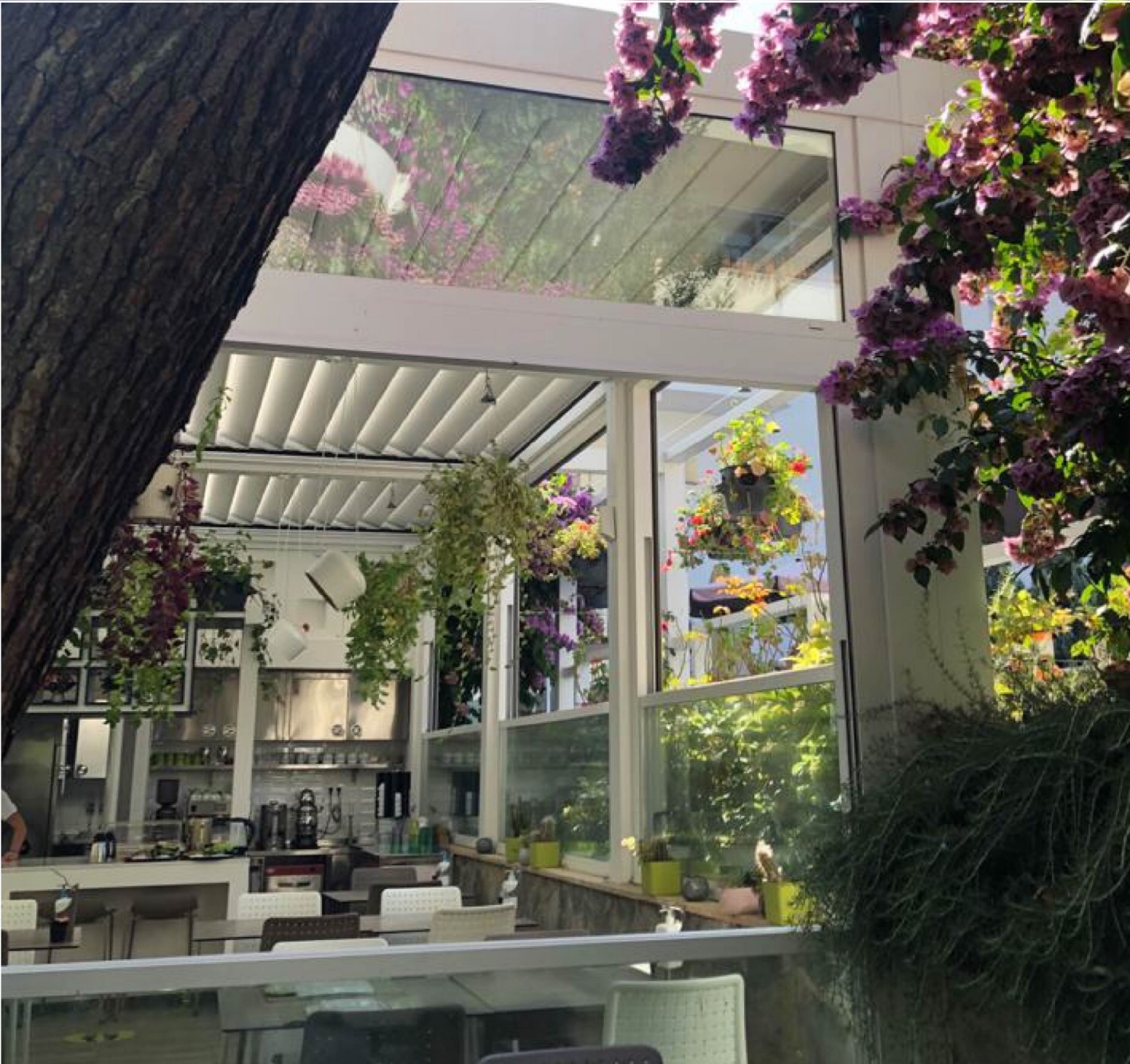 Ascot Hotel