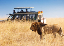 Güney Afrika, Zimbabve, Zambiya, Botsvana Safari Turu 2 | Johannesburg, Victoria Falls, Cape Town