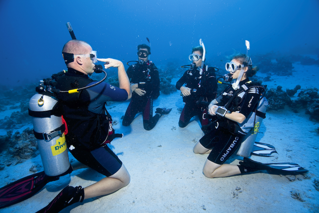 Become a Certified Diver