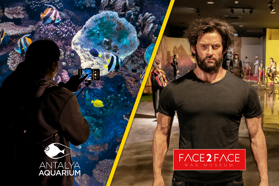 Aquarium & Face2Face