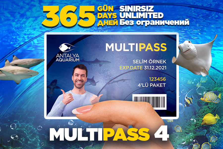 Multipass-For-4-Units-Package
