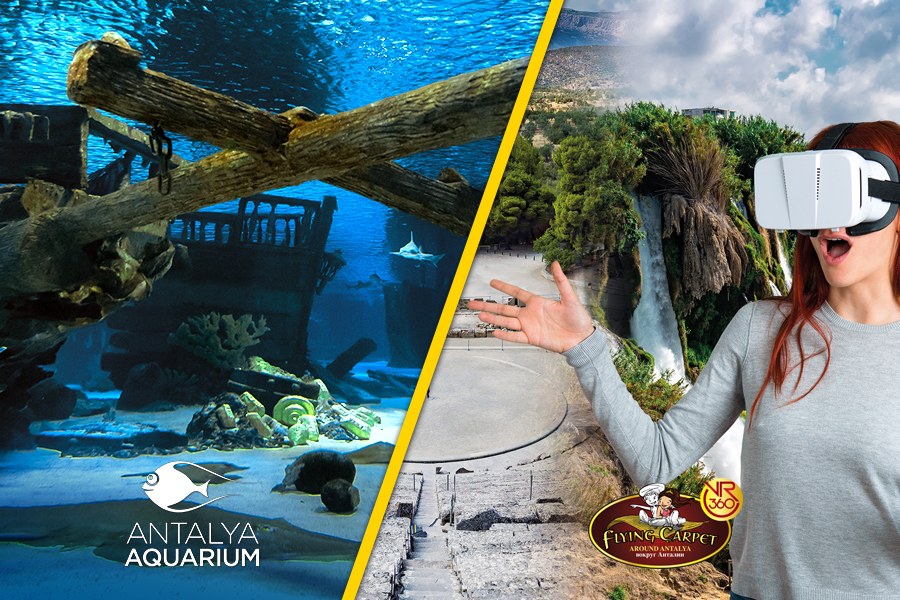 Aquarium & VR360